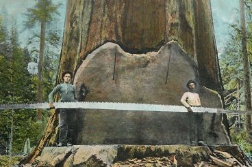 Logging to a file craft cms 4